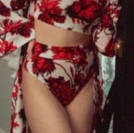 Lounge Brief - Chippendale