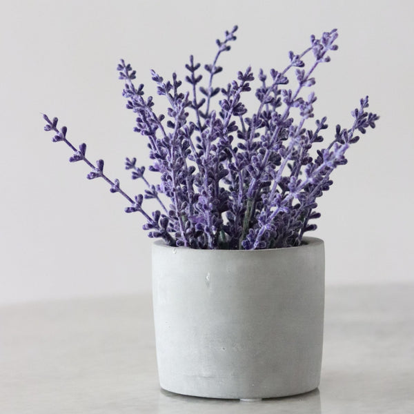 Unwind with the relaxing scent of lavender 